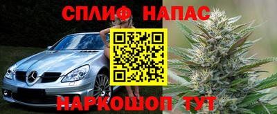 прущие крисы Будённовск