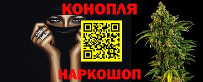 прущие крисы Будённовск