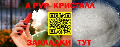 прущие крисы Будённовск