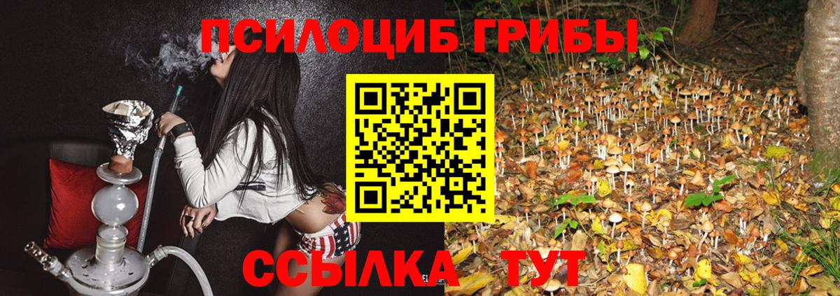 Псилоцибиновые грибы мухоморы Ступино