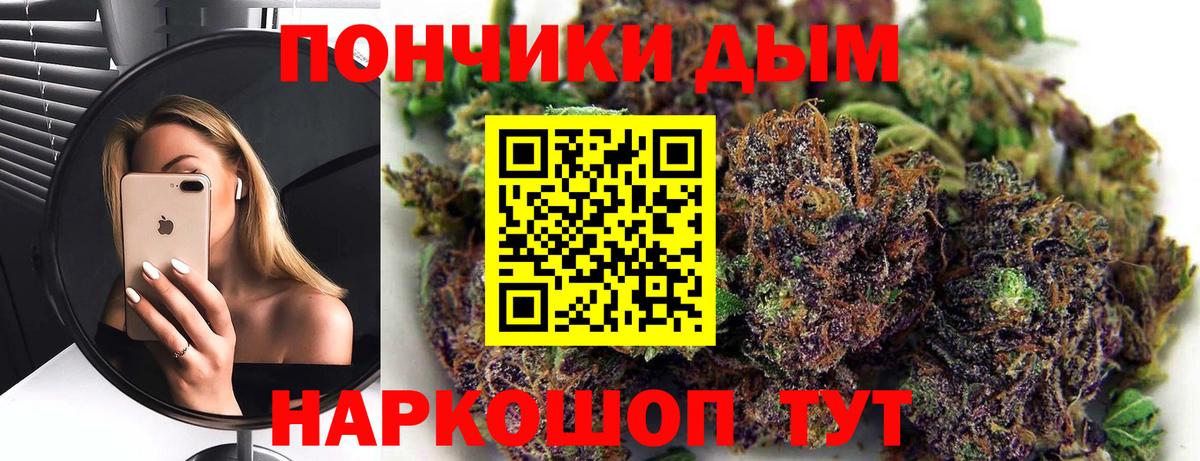 МАРИХУАНА ГИДРОПОН  Бошки марихуана сатива  Конопля конопля  Ступино  Марихуана семена  Вход с VPN 